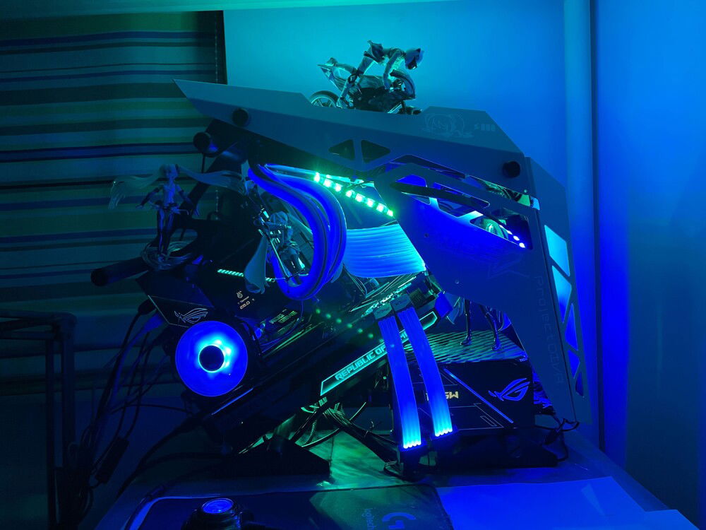 Side view (dark room, cool temperature).