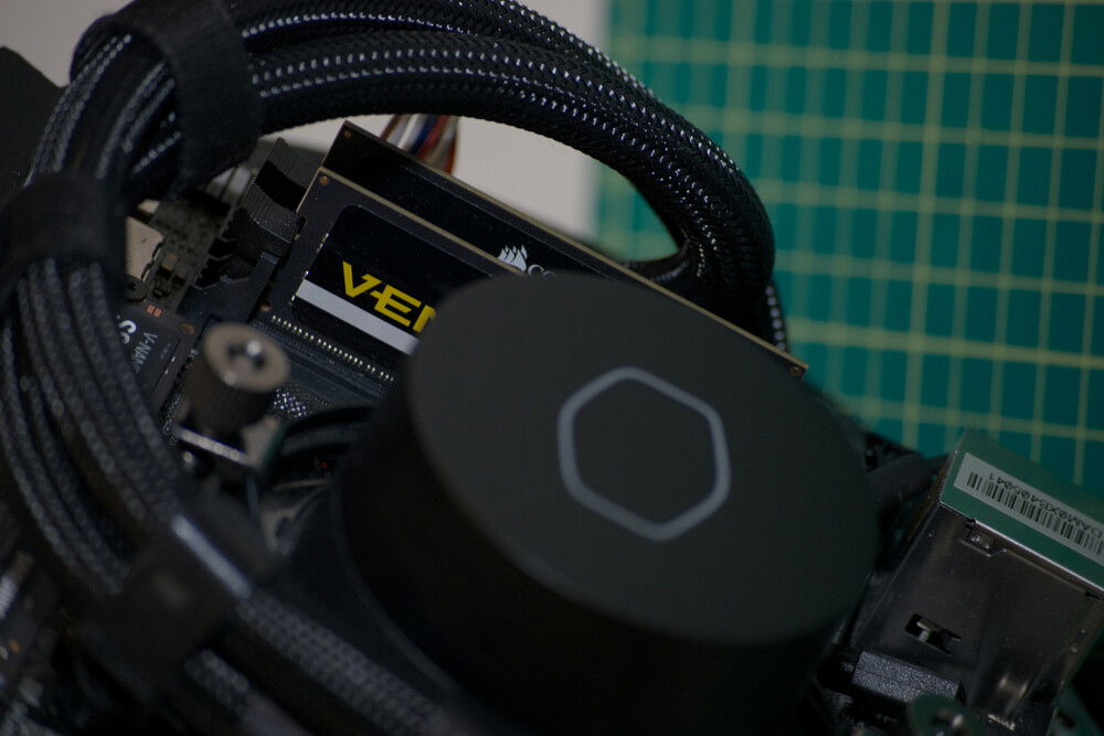 Piñasphere interior view partially disassembled