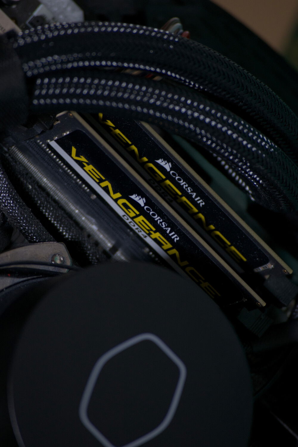 Piñasphere interior view partially disassembled