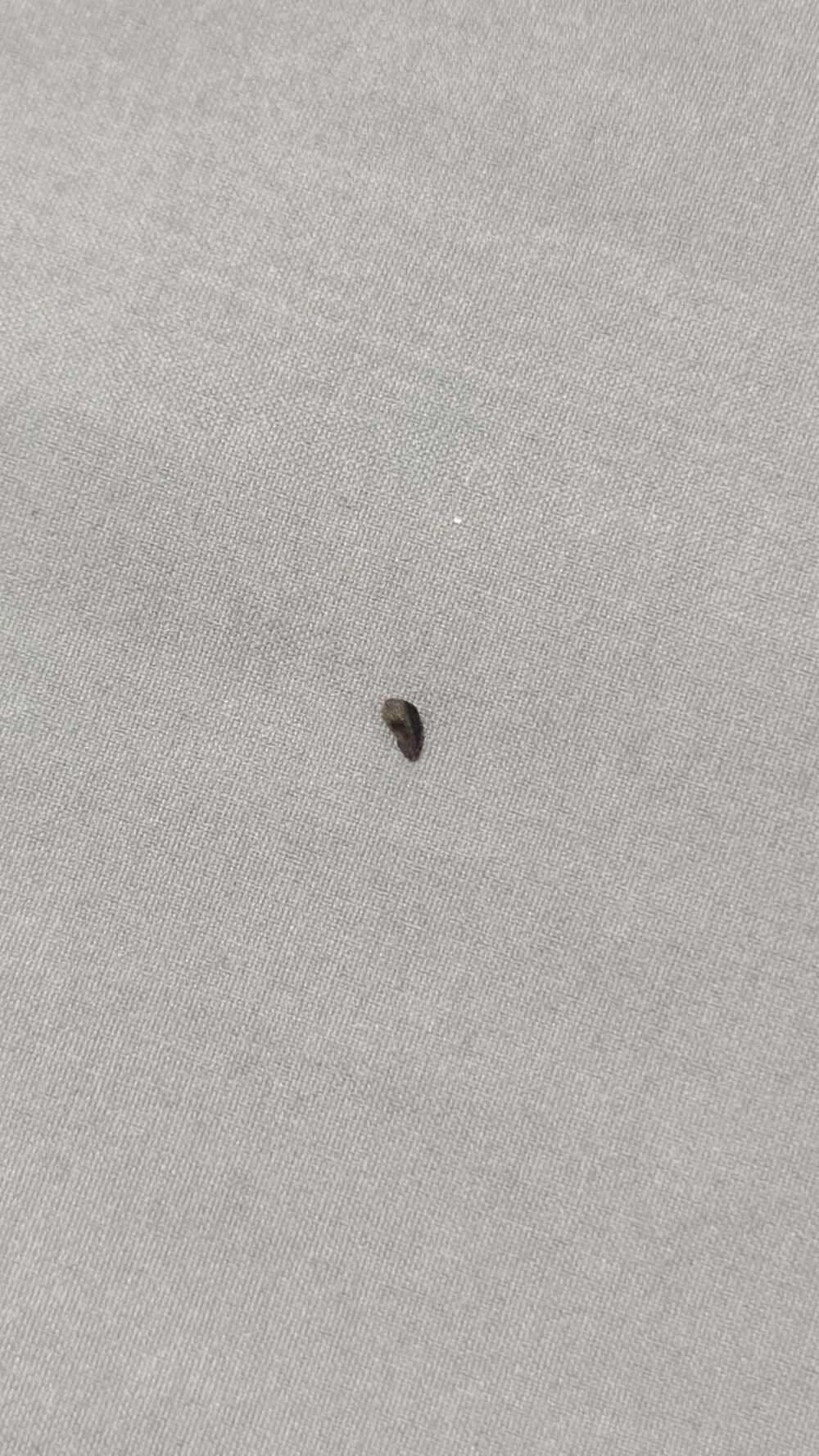 This fell out of the Lian Li PSU. Looks like a piece from a Transistor...