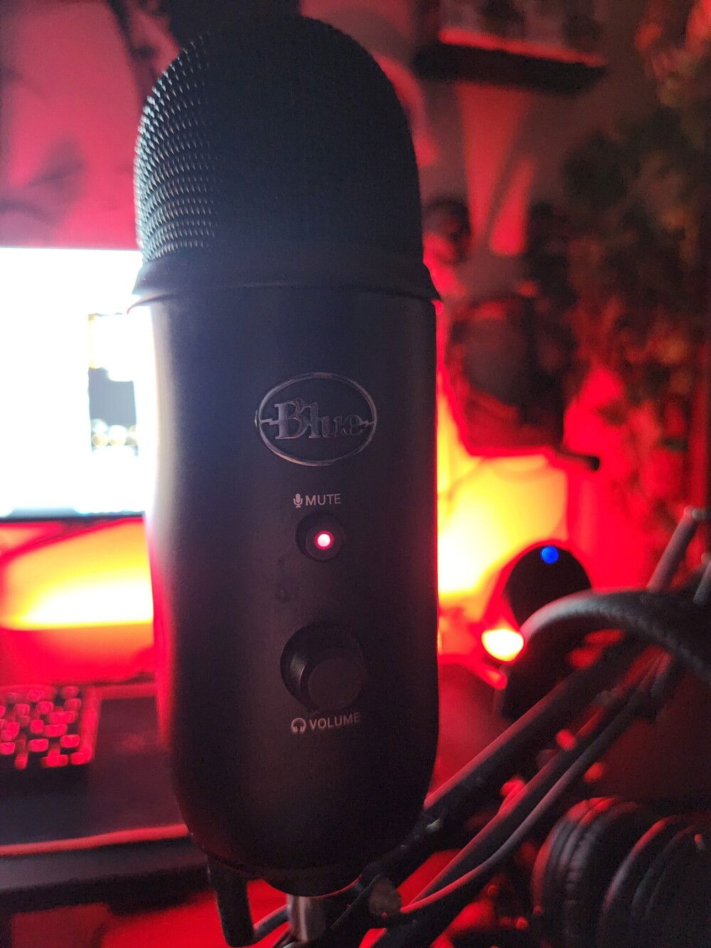 Blue Yeti. Best quality mic for the price point IMHO
