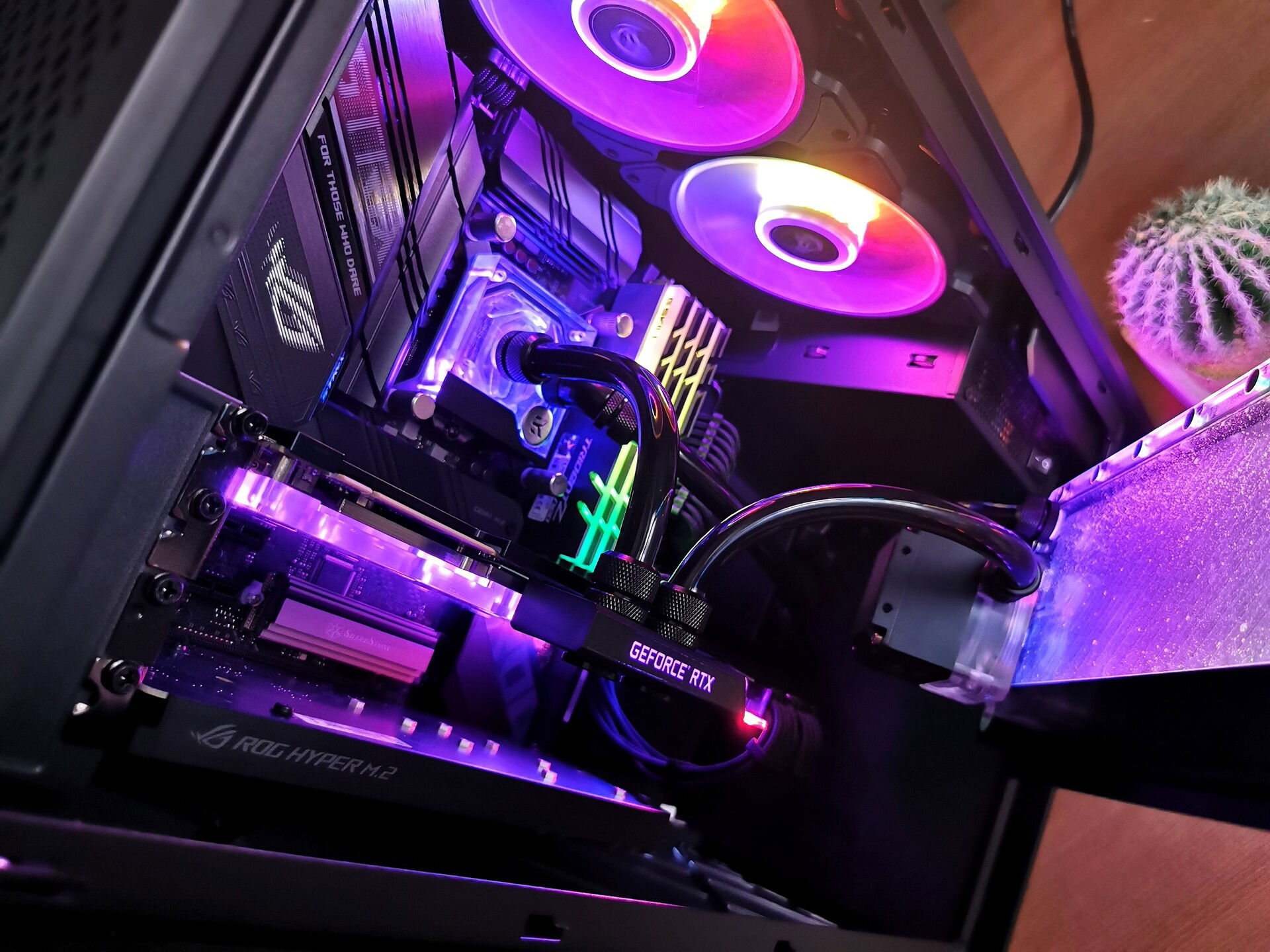 Dark - an unassuming Alta G1M build » builds.gg