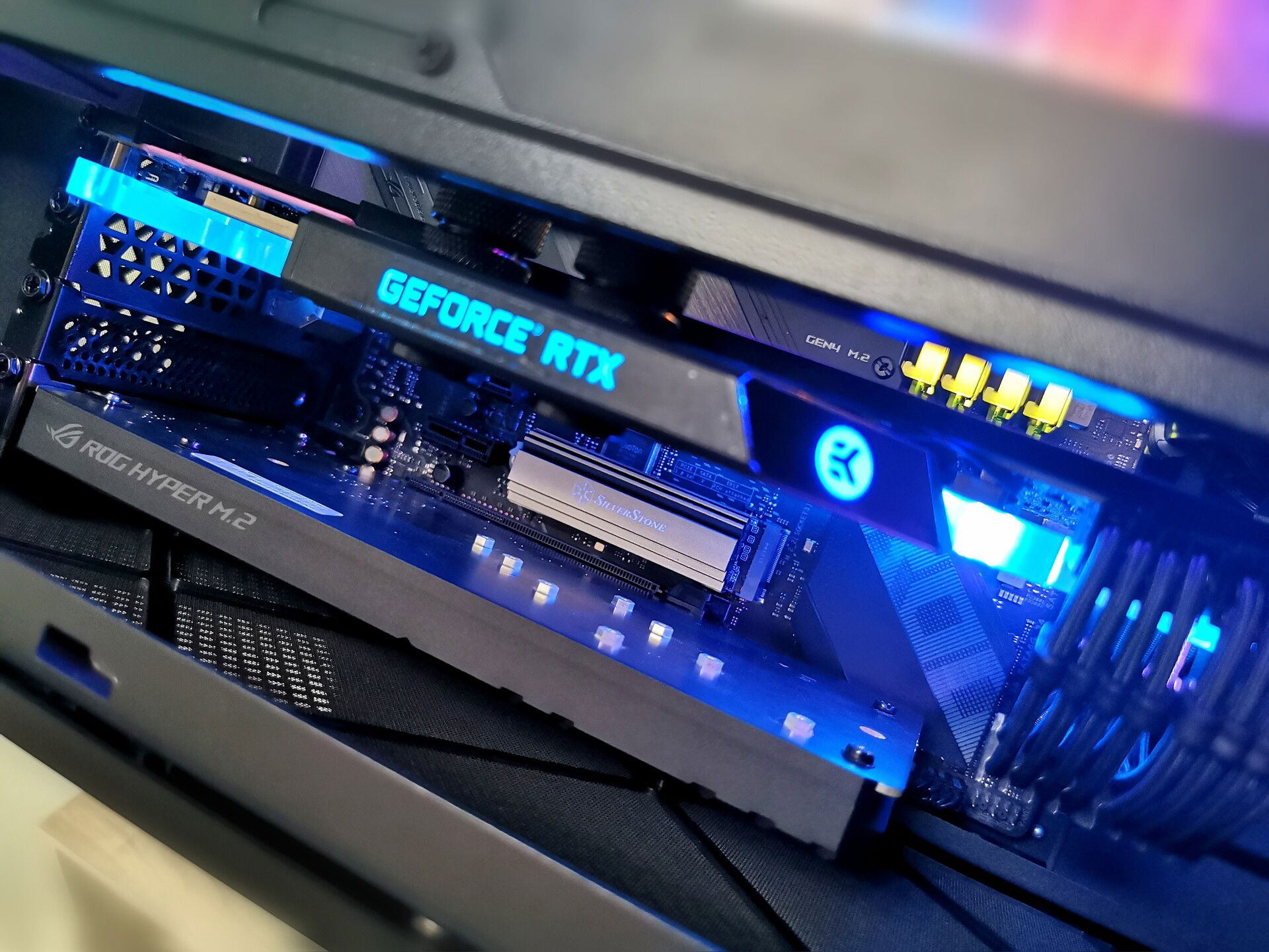 Dark - an unassuming Alta G1M build » builds.gg