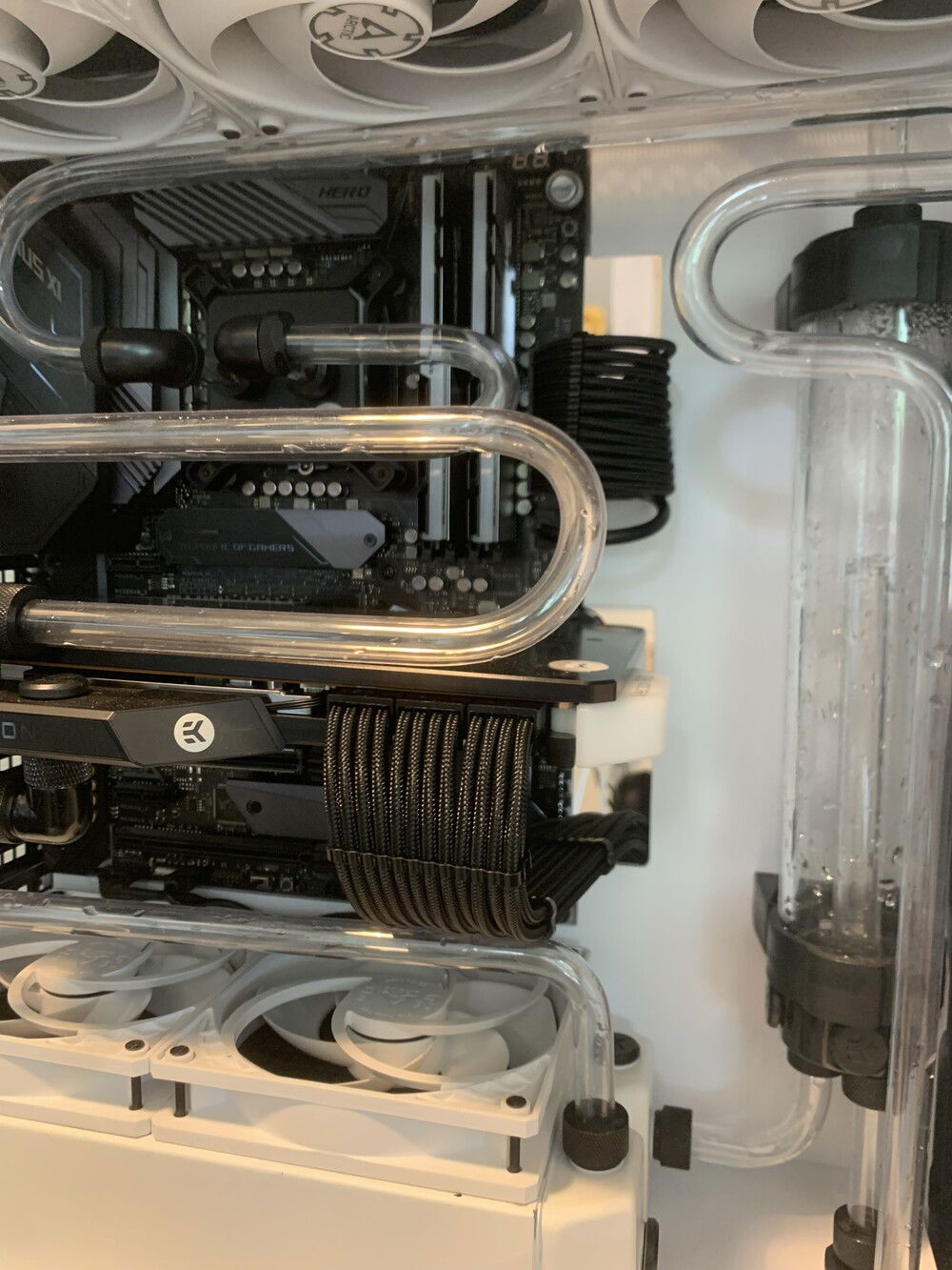 First look with the CableMod kit in place.