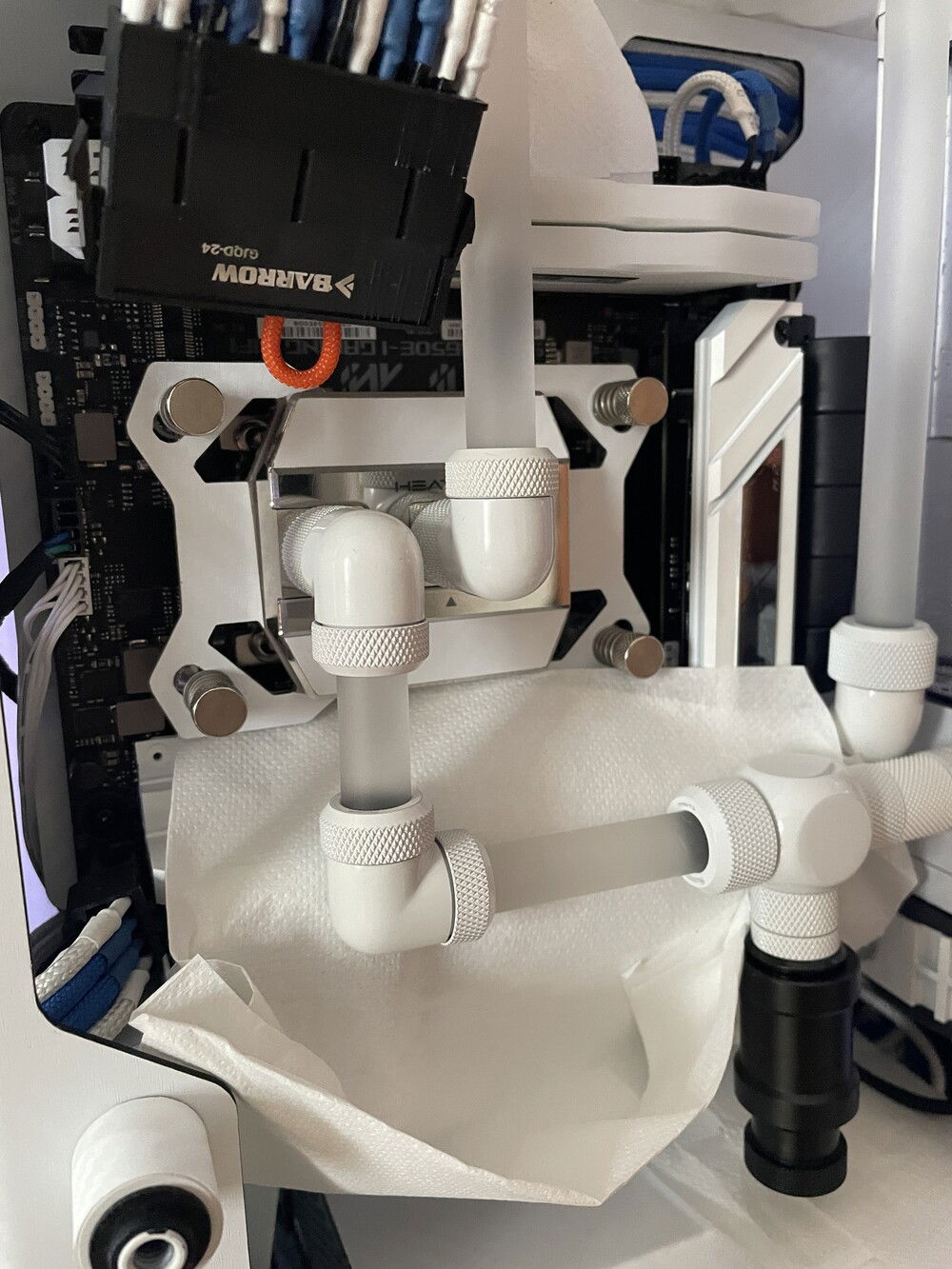 Another close-up shot.