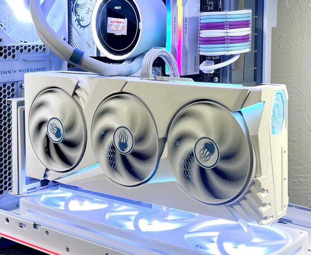 I'm not sure if jellyfish can get dizzy.