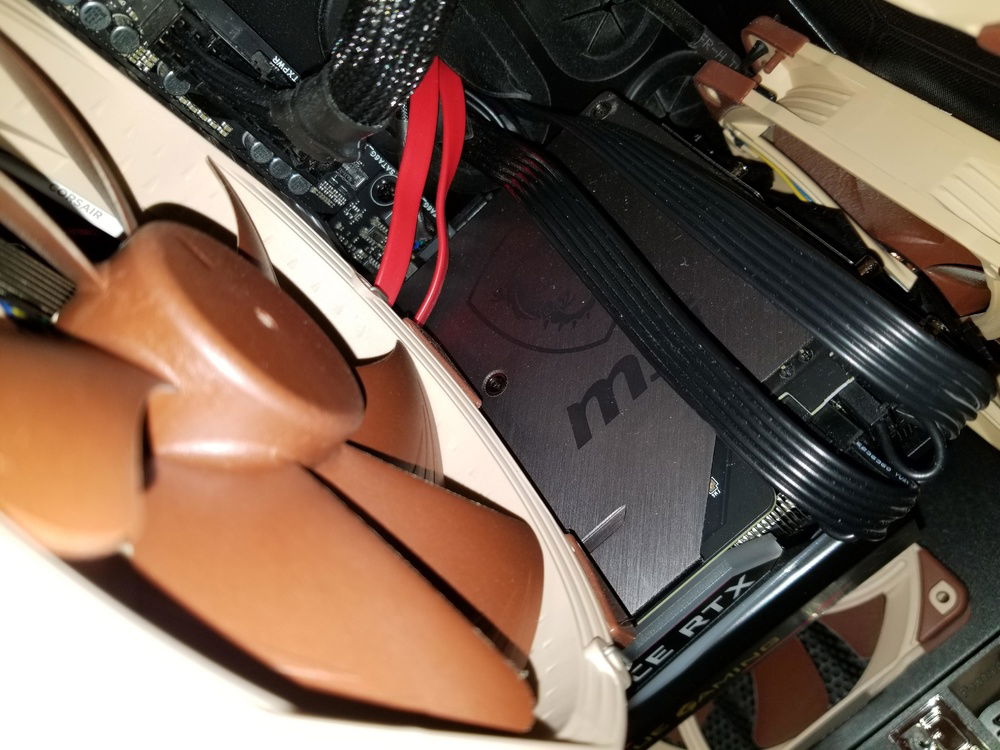 A shot inside the case.