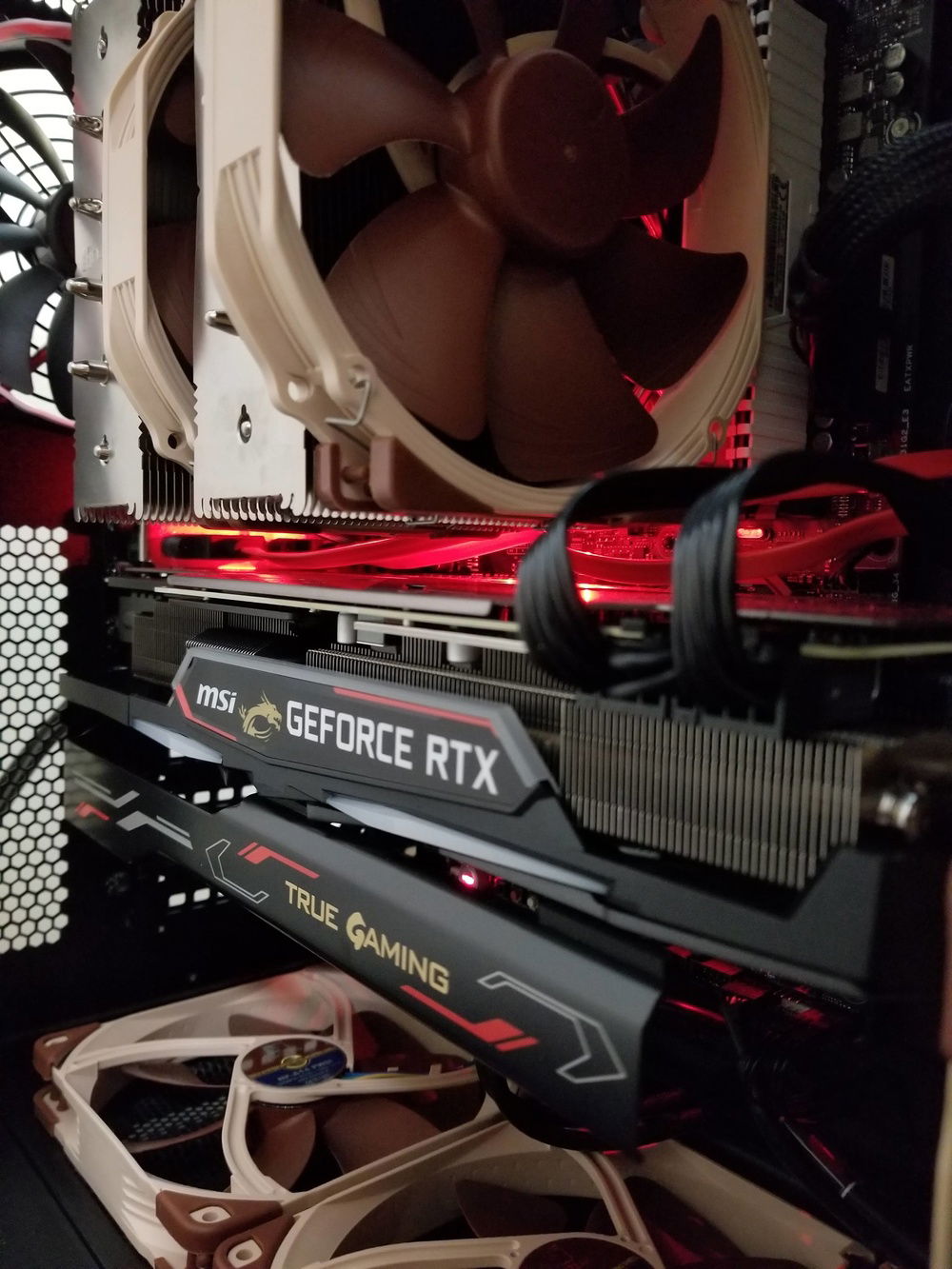 A shot inside the case.