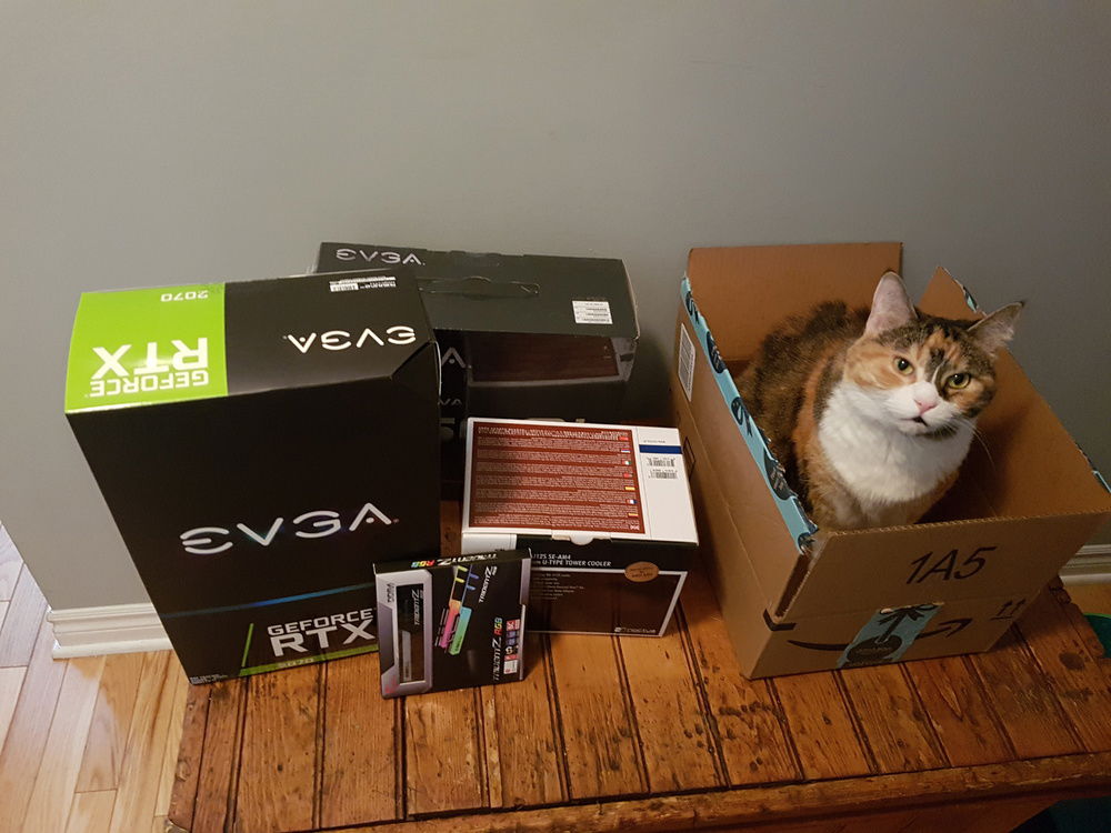 The parts that have arrived so far. Bonus Cat as well.