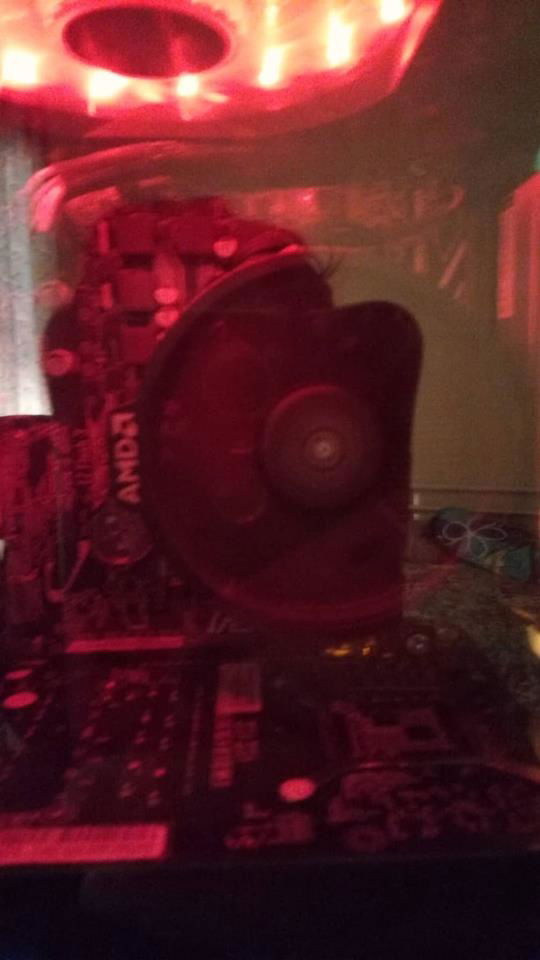 The Stock Cooler Experience