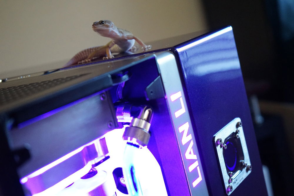 Say hi to Lyra!  This photo nicely shows off the automotive paint on the side chassis. Fun fact: the only reason I went for a full custom paintjob from a pro was because my hand slipped with the Dremel when I was cutting the hole for the AQ inline filter. That was an expensive slip! lol