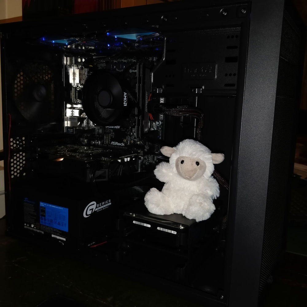 A peek inside the case
