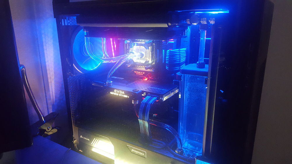 Before some water changes, bad pic with case closed.