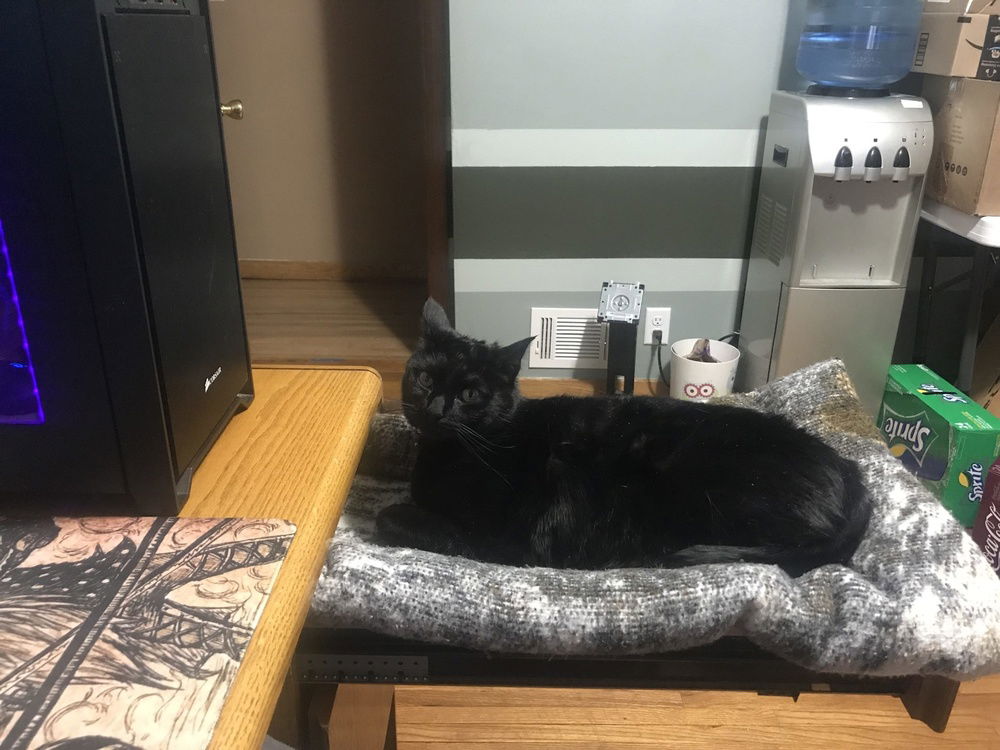 the most important component of all, the cat drawer