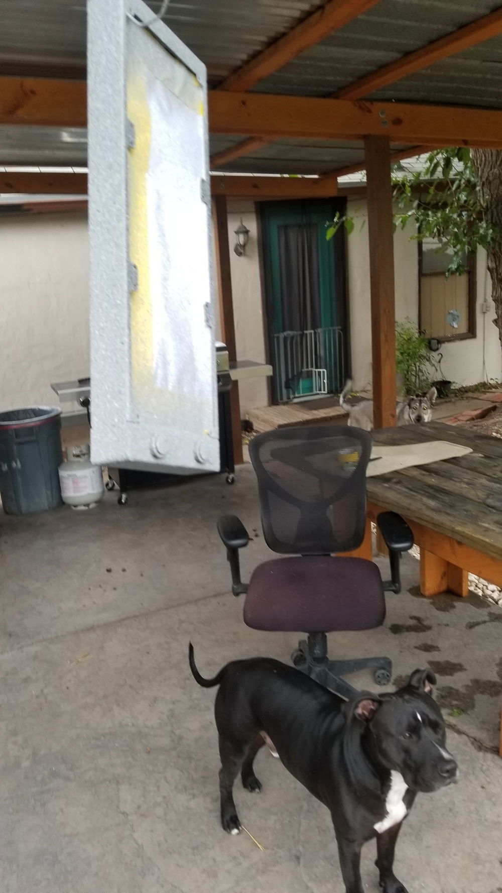 Painting process and dags!