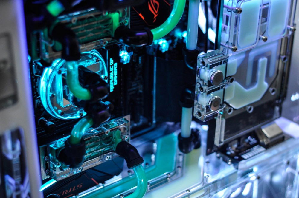 Polish look all by han d