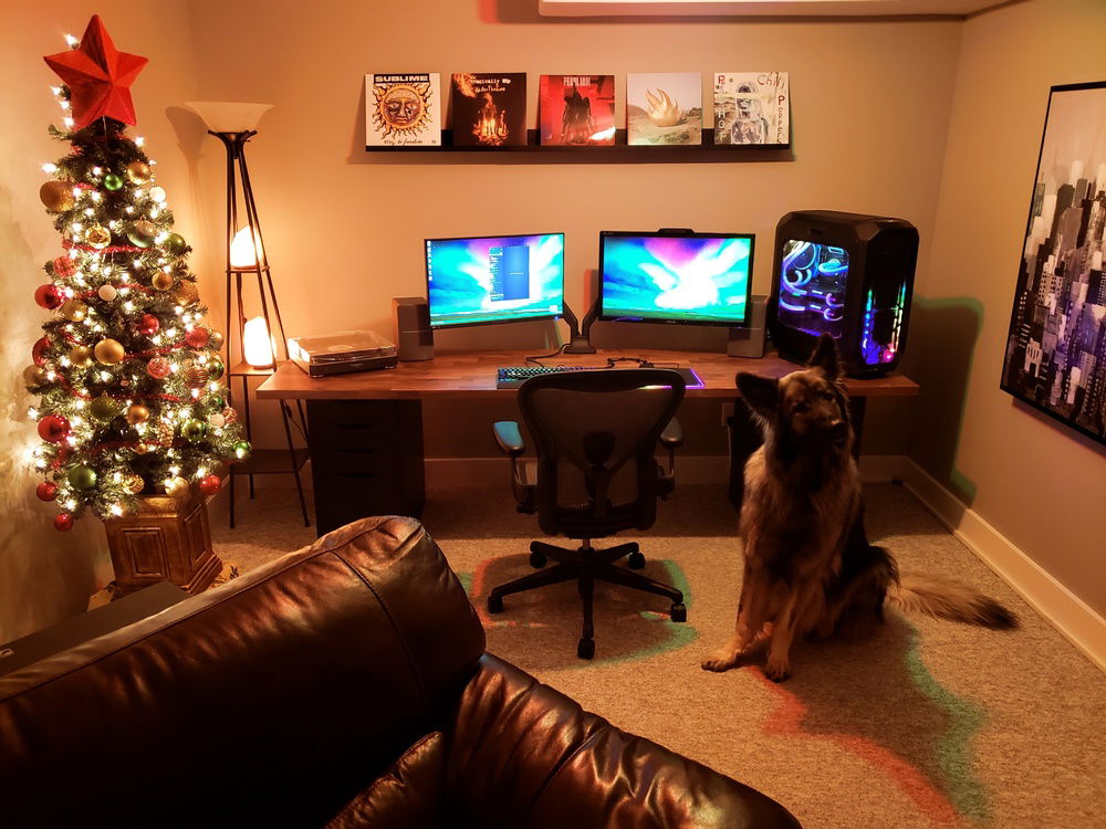 My Dire Wolf is stealing this shot! His name is Bear and I wouldn't trade him for every PC on this website!