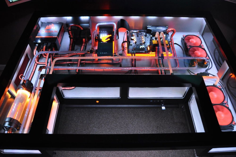 Infectious Habitus under glass