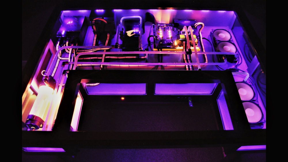 Infectious Habitus under UV