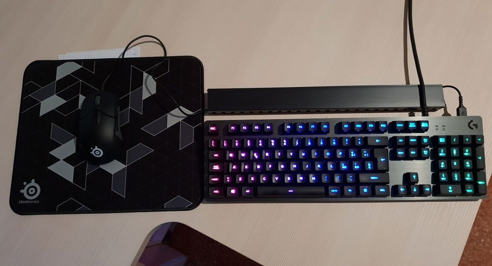 G513 + Sensei 310 (i'm ambidextrous) + cable protection against cats :P