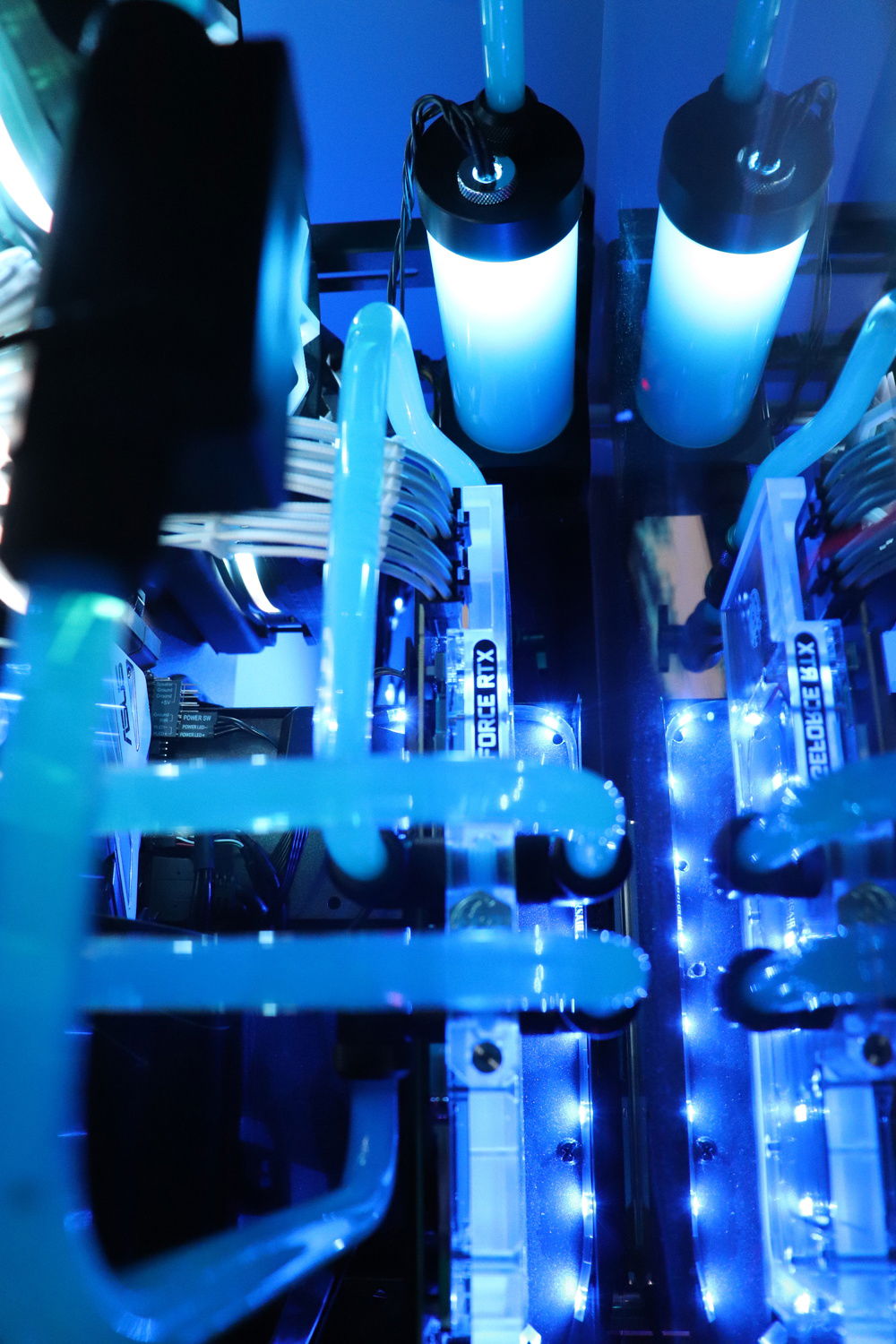 Close up Glamour Shot