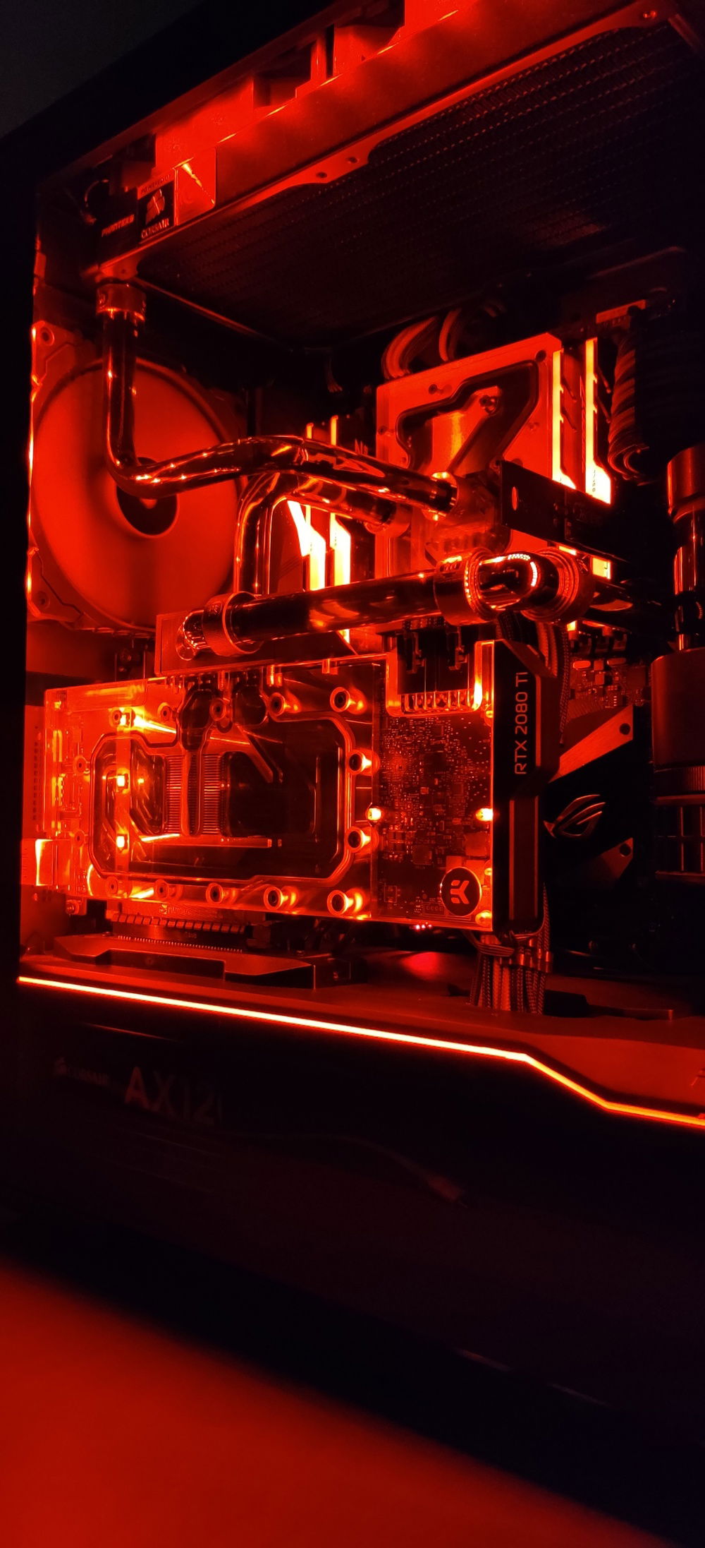 All red? Why not. ????????