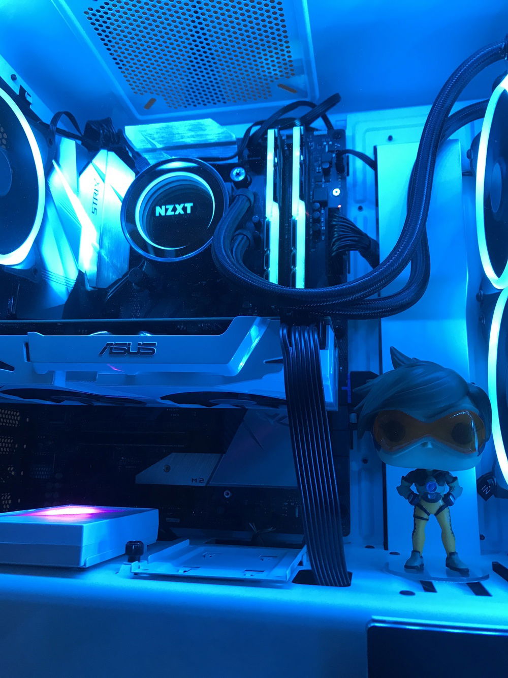 monster20 build