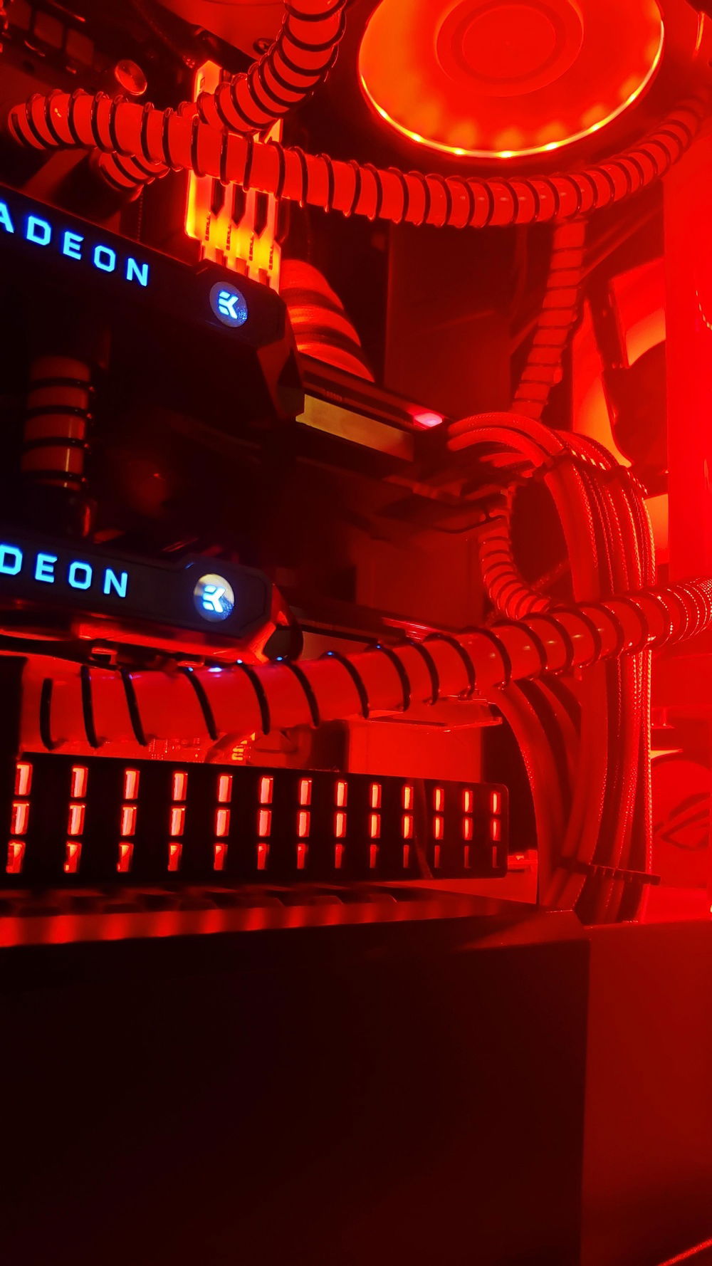 V1Tech Cables and just a cool pic!