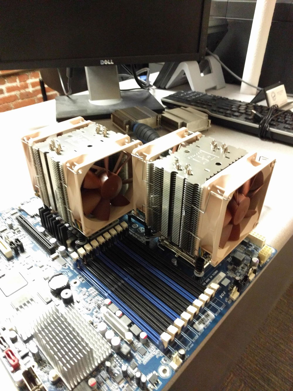 Noctua's with the fans mounted.
