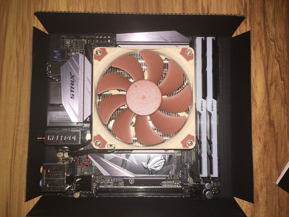 RAM and low profile Noctua cooler installed.