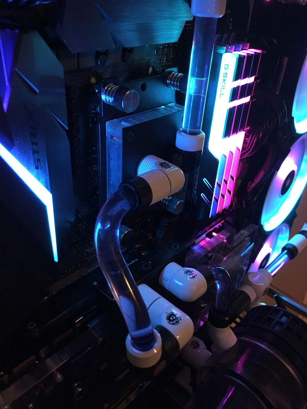 Internals/ some close up bends