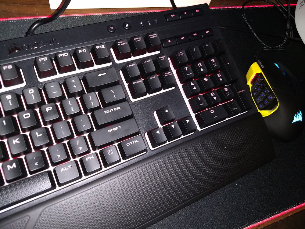 Literally just bought this m&kb like 2 days before uploading this